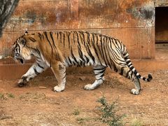 -昆明动物园