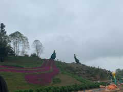 -都江堰玫瑰花溪谷