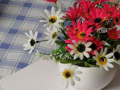 -红瓜子 影视后期 摄影摄像设计 新媒体运营技能培训(宝安校区)