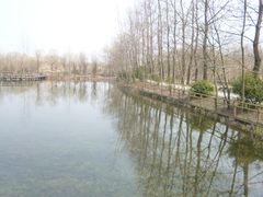 -溱湖国家湿地公园