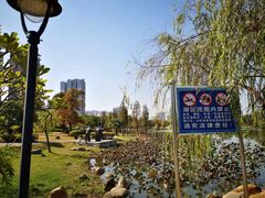 -飞来湖湿地公园