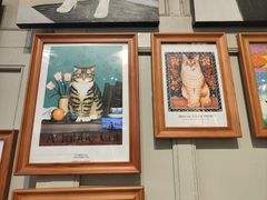 -猫咪博物馆(顶澳仔猫街店)
