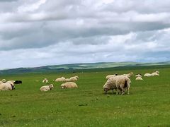 -塞罕坝国家级自然保护区