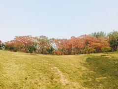-廊坊市自然公园
