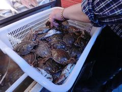 老板在帮我们挑梭子蟹-沈家门海鲜夜排档(东港店)