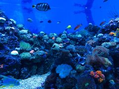 -成都浩海立方海洋公园