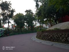 -金鸡山公园