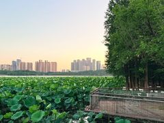 -月湖风景区