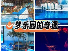 -海合安成都极地海洋公园