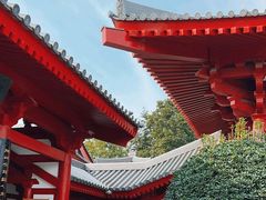 -大慈恩寺(大雁塔)