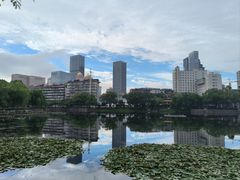 -宝岛公园