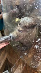 -Zoolung Zoolung动物主题公园(海信广场店)