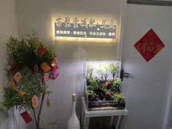 -苗塑堂减肥·艾灸