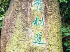 -梧桐山风景名胜区