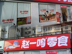 -赵一鸣零食(广州荔湾路店)