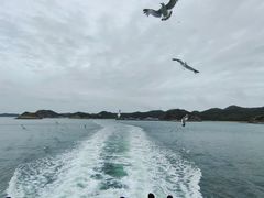 -大长山岛