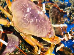 -盒马鲜生(顺义店)