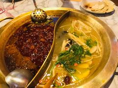 -杨家火锅(国美店)