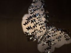 -蝴蝶里·粤菜·点心(滨江龙湖店)