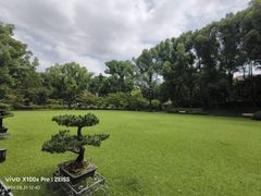 -申粤轩酒楼·三十年粤菜经典(丁香花园店)