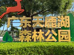 -天鹿湖森林公园