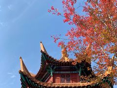 -戏马台景区