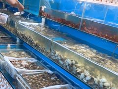 -港畔赶海蒸汽海鲜烧烤自助(仙螺岛店)