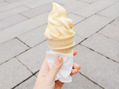 布丁味甜筒-麦当劳(南后街店)