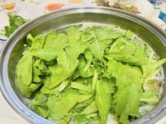 -金砂阿洲鱼册店