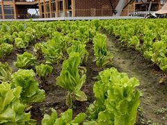 -中国天府农业博览园