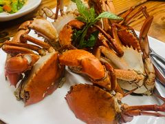 -开禾52阿伟海鲜加工