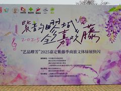 -嘉定紫藤园