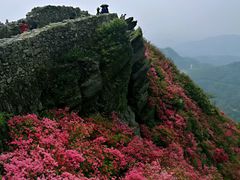 -木兰云雾山