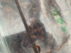 -穆民食品(牛街店)