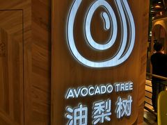 -油梨树AVOCADO TREE(嘉里中心店)