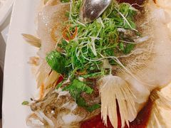 清蒸笋壳鱼-博多新记·粤菜(复兴店)