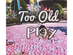 -美的鹭湖探索王国