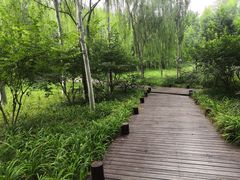 -北坞公园