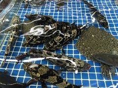 -碧桂园十里银滩