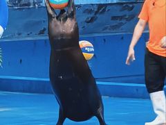 -多彩贵州城极地海洋世界