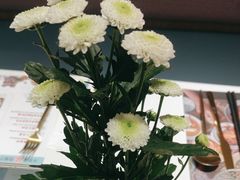 -Aqua Oasis 水天堂(石路天虹店)
