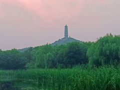 -北坞公园