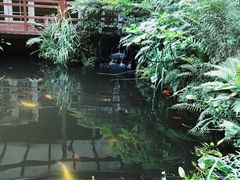 -故乡缘·香格里拉山庄(冷竹路店)