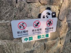 -都江堰中华大熊猫苑