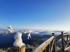 -武陵山森林公园