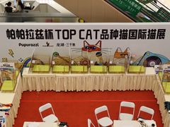 -帕帕拉兹宠物(亚洲旗舰店)