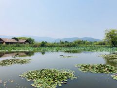 -长兴太湖图影湿地文化园
