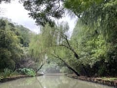 -同里国家湿地公园