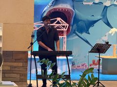-三亚海棠湾喜来登度假酒店大堂吧