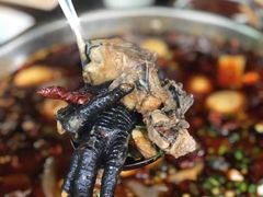 -黑竹香鸡(营和巷店)
